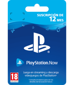 Playstation Now 12 Meses